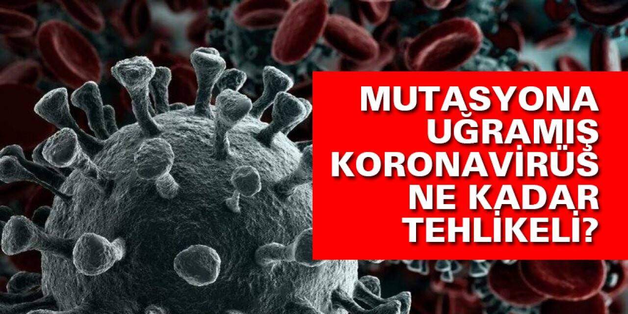 Mutasyona uğramış Koronavirüs ne kadar tehlikeli?