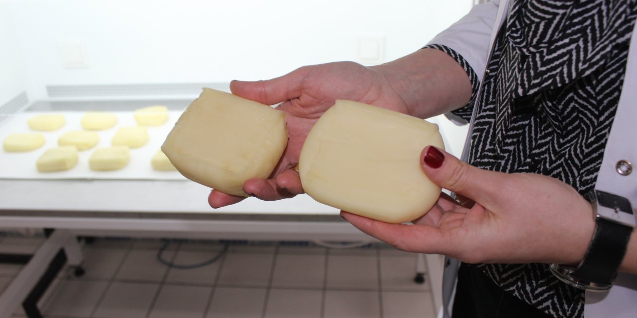 Kaşar peynirindeki küflenmeyi önleyecek proje hayata geçiriliyor