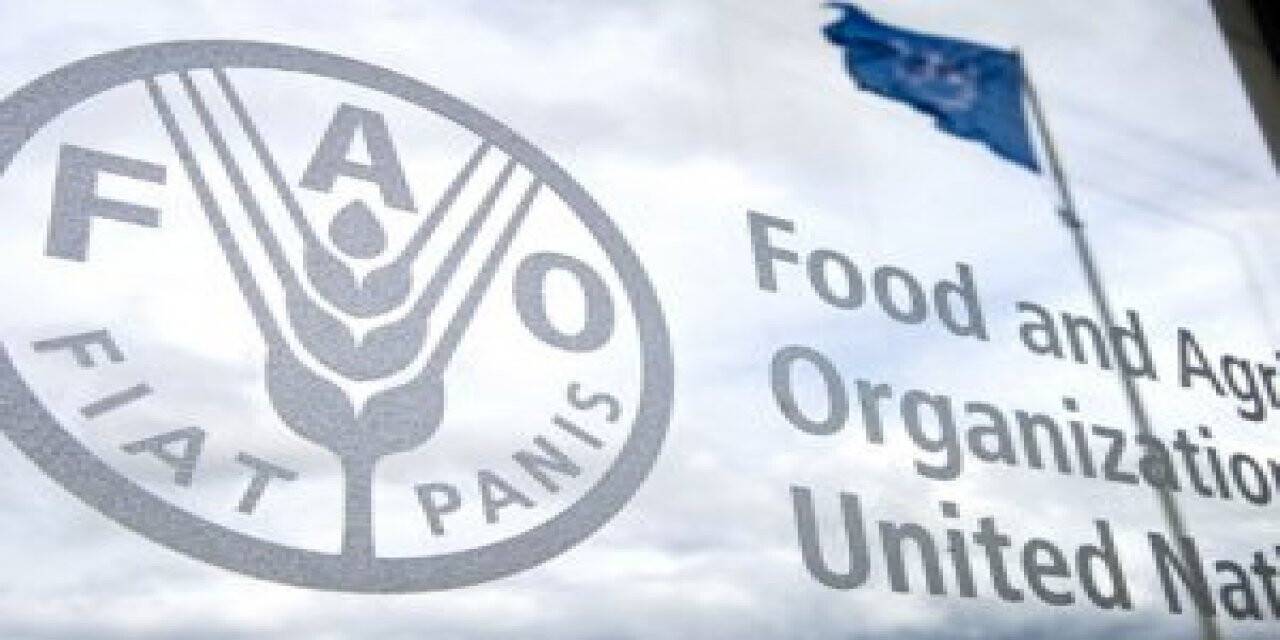 FAO'nun programlı sulama projesiyle Konya’da Tasarruf ve Verim Artışı Sağlandı