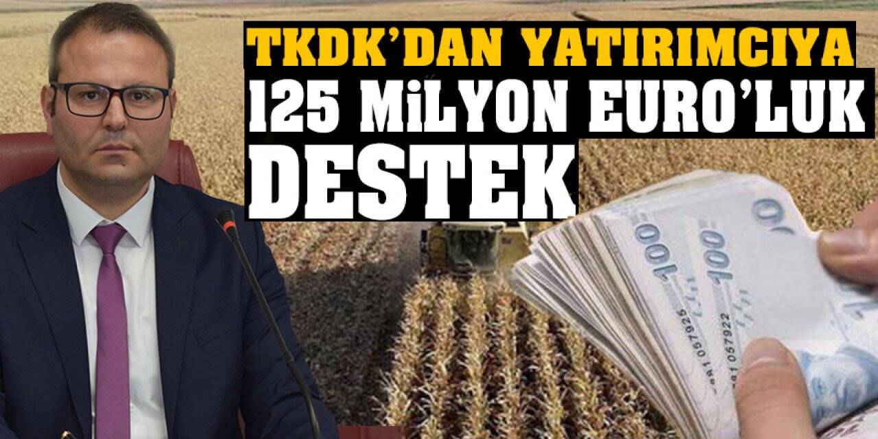 TKDK’dan Yatırımcıya 125 Milyon Euro’luk Destek