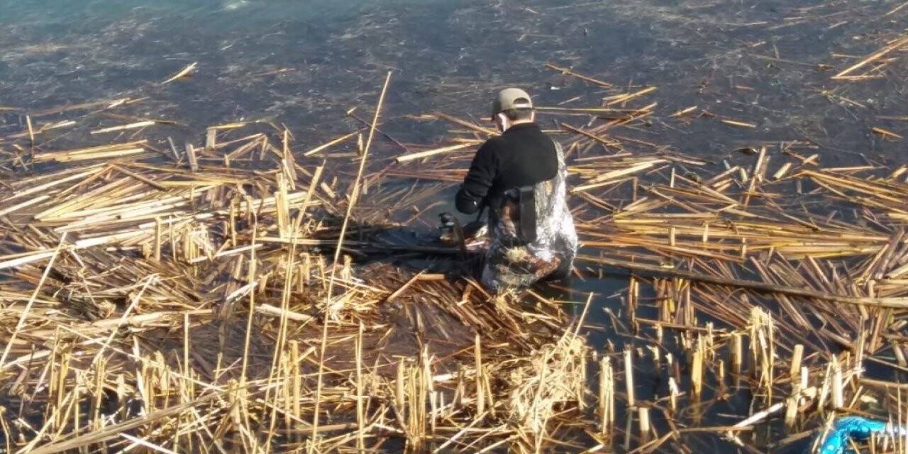Balıkçı ağına takılan bahri kuşu kurtarıldı