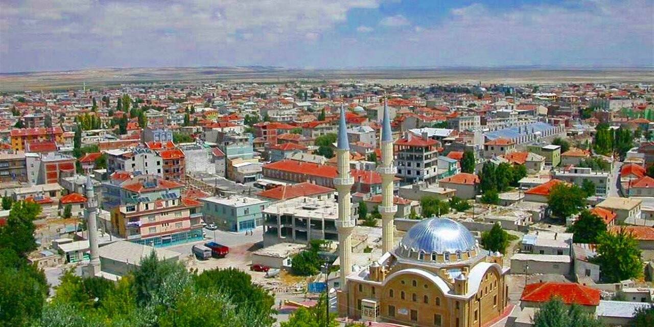 Karapınar'da icradan satılık tarla