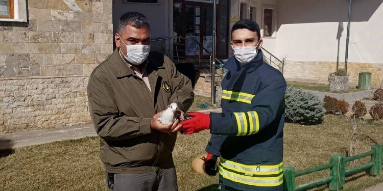 Konya'da kanala düşen yaralı martıyı itfaiye kurtardı