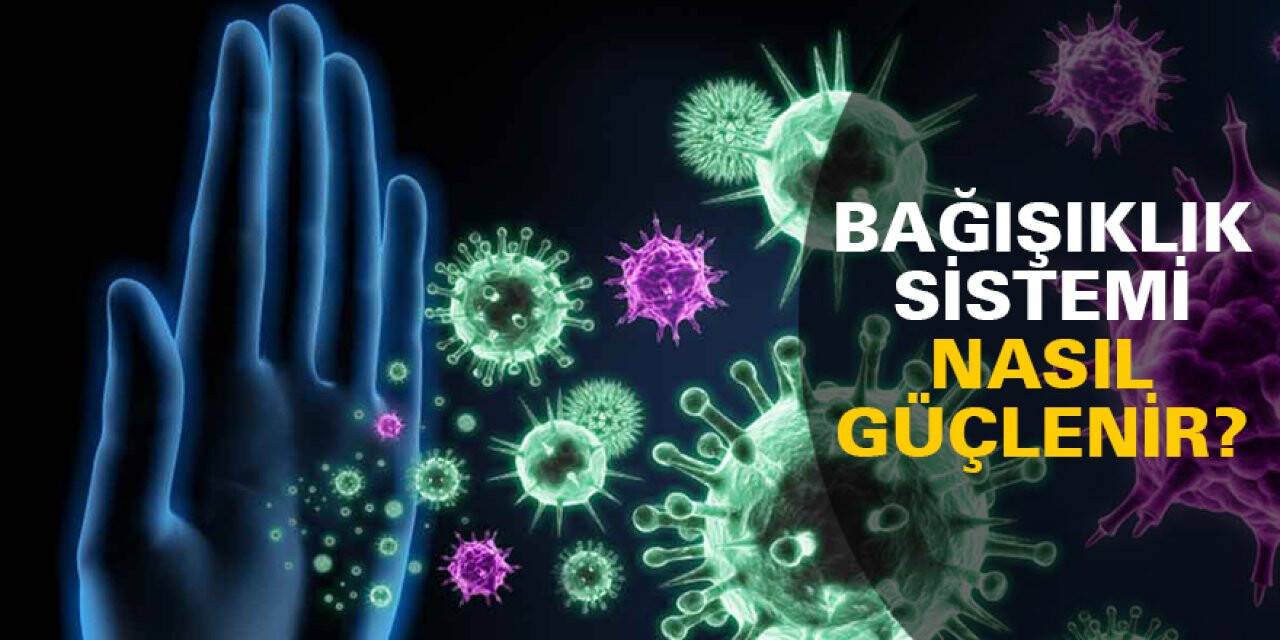 Bağışıklık Sistemi Nasıl Güçlenir?