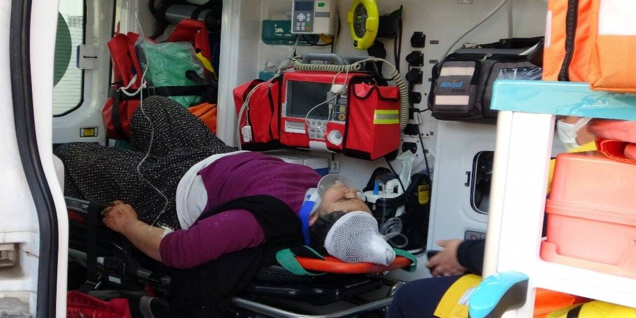 Miras yüzünden kız kardeşini öldüresiye dövdü