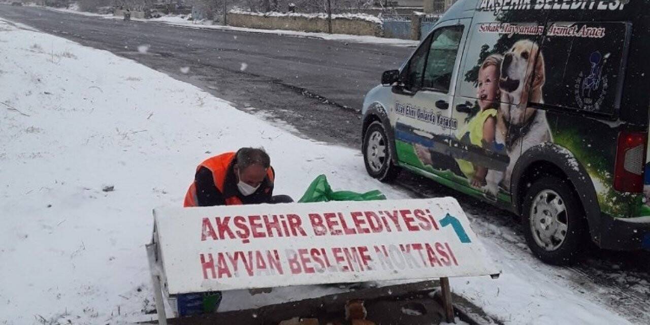 Akşehir Belediyesi sokaktaki canları unutmadı