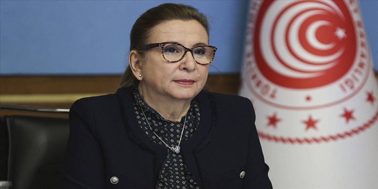 Bakan Pekcan: 2 milyonun üzerinde vatandaşımız İYS'ye girerek onaylarını kontrol etti
