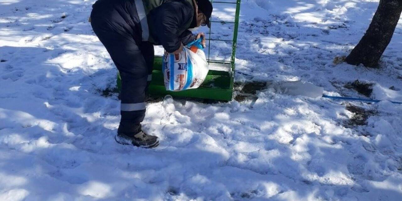 Kulu’da sokak hayvanları unutulmadı
