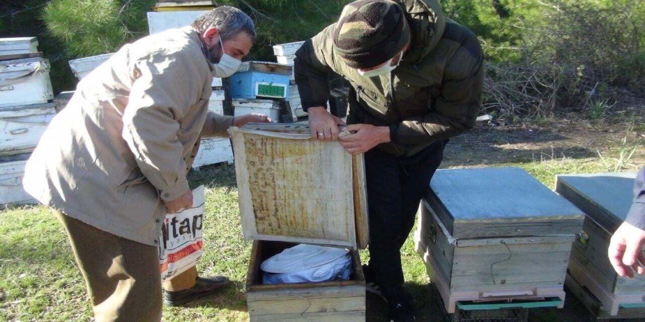 Konya'da çalınan arılarını Manavgat'ta buldu