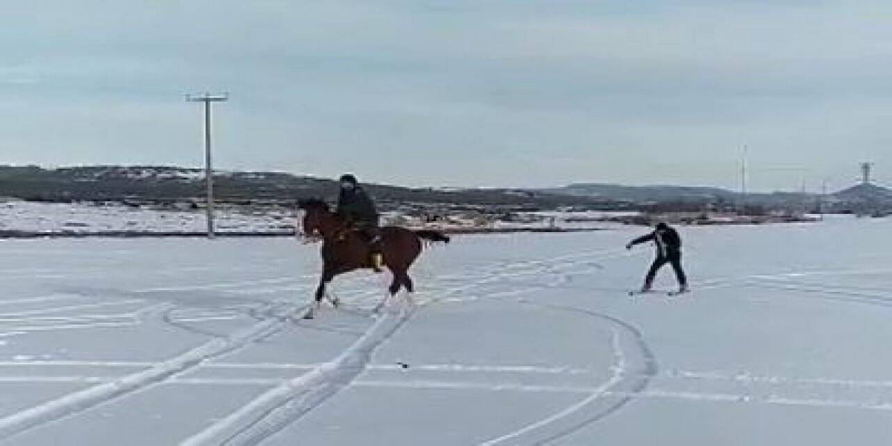 Kar üzerinde atlarıyla birlikte kayak yaptılar