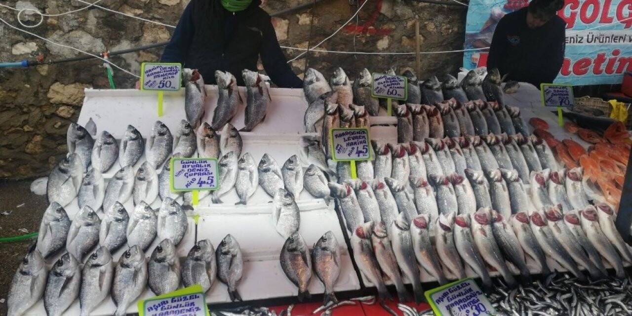 Balık fiyatlarını soğuk vurdu