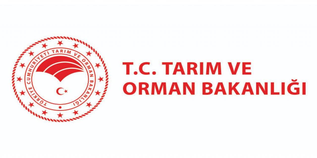 Etüt proje hizmeti alınacak