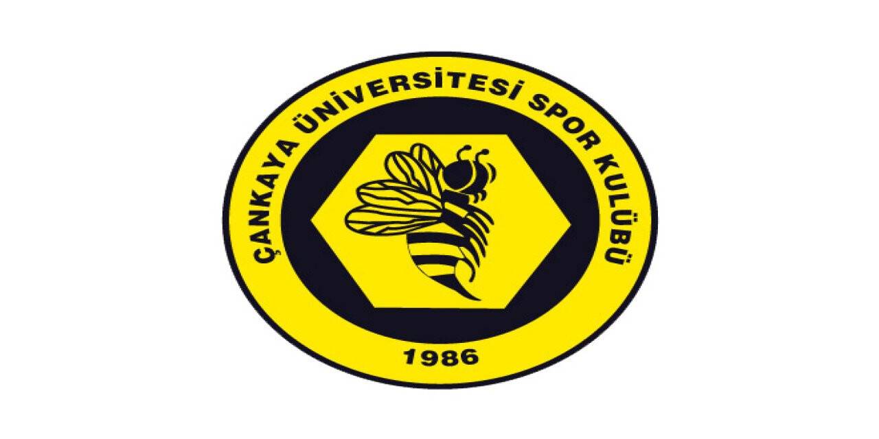 Çankaya Üniversitesi 20 akademisyen alacak