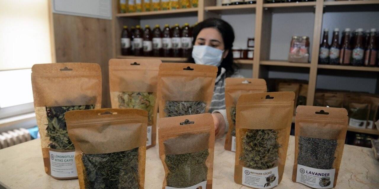 Üniversitenin bitki çayları kış aylarında şifa dağıtıyor