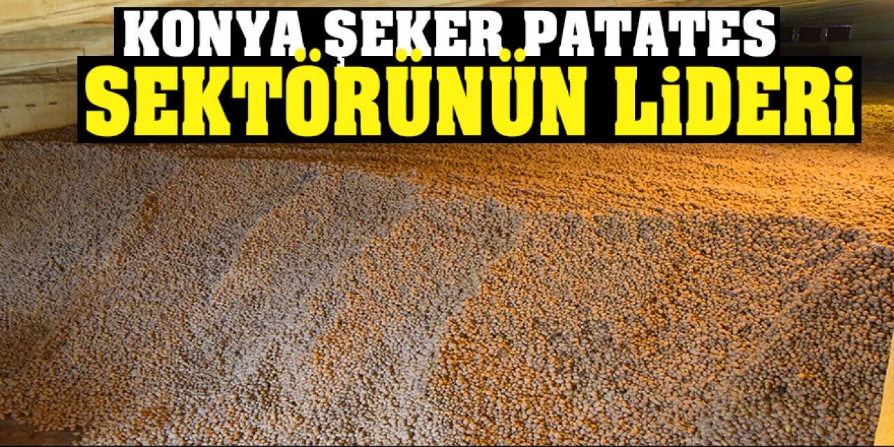 Konya Şeker Patates Sektörünün Lideri