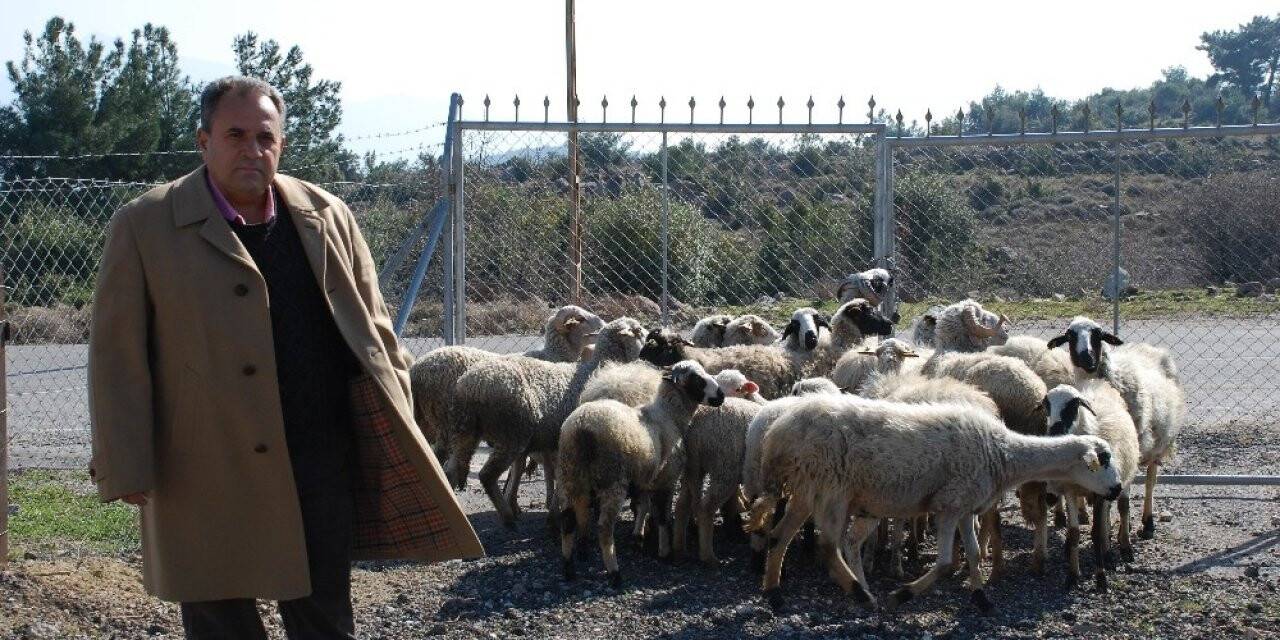 Keçi çobanlığından iş adamlığına