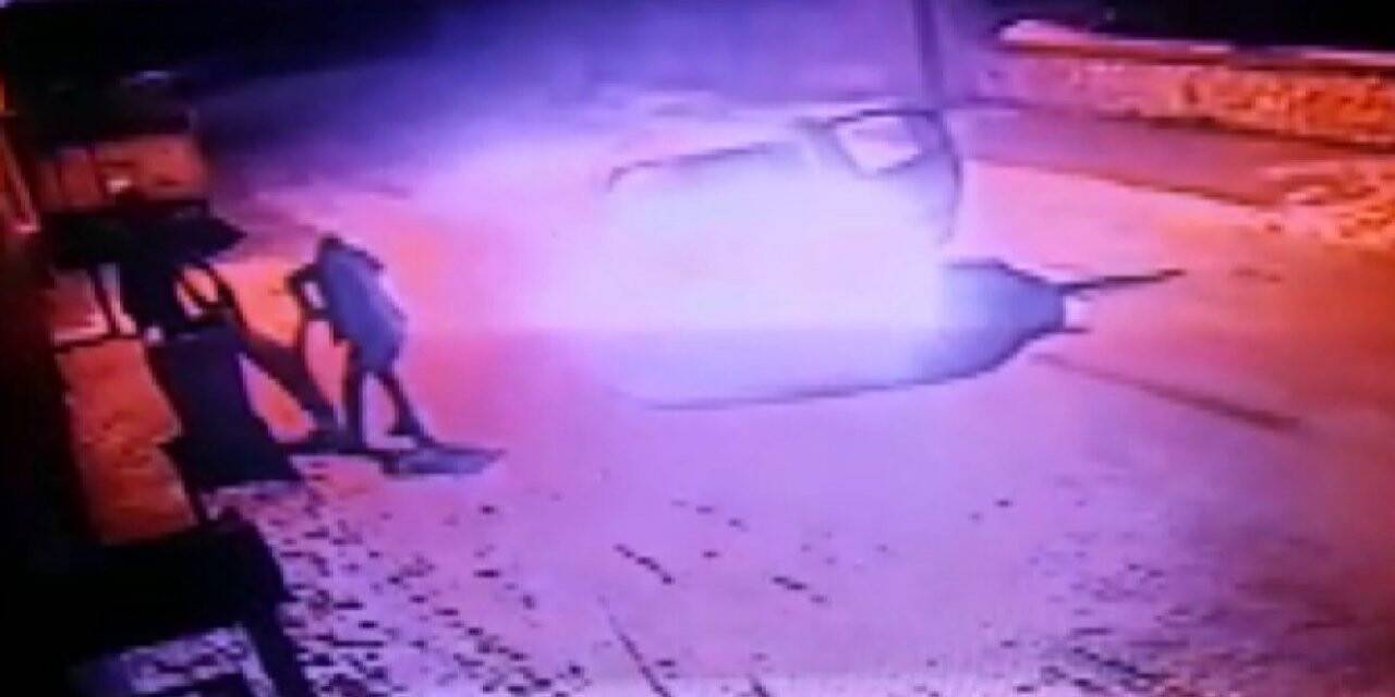 Köpeği vurduktan sonra tekmeleyip çöpe attılar