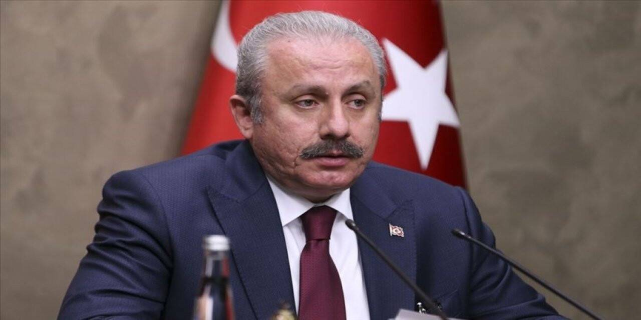 TBMM Başkanı Şentop: Türkiye'de demokrasinin teminatı bizatihi milletimizin kendisidir