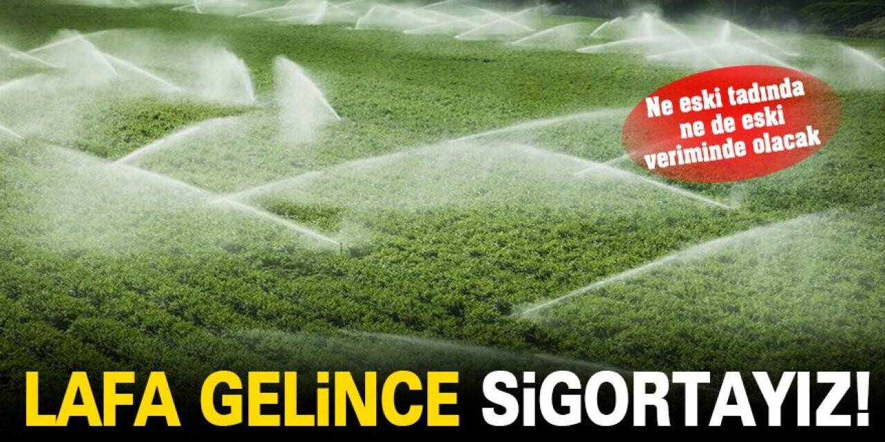 Lafa Gelince Sigortayız!