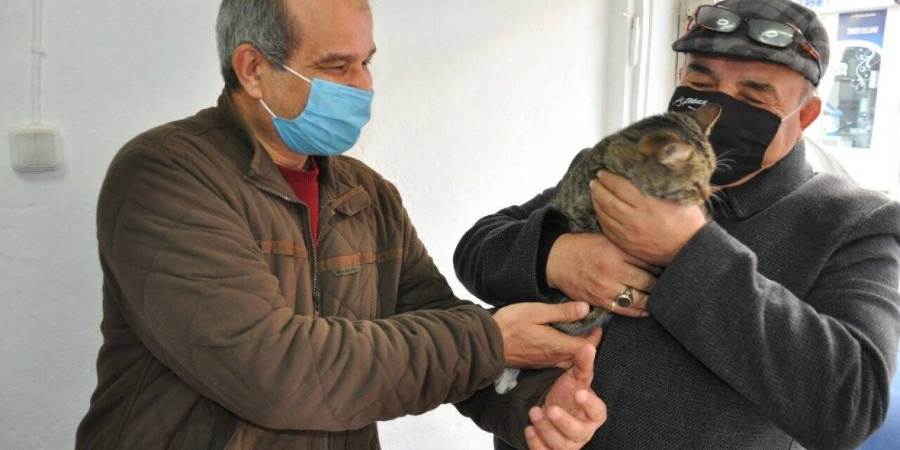 Kayıp kedisine 6 gün sonra kavuştu