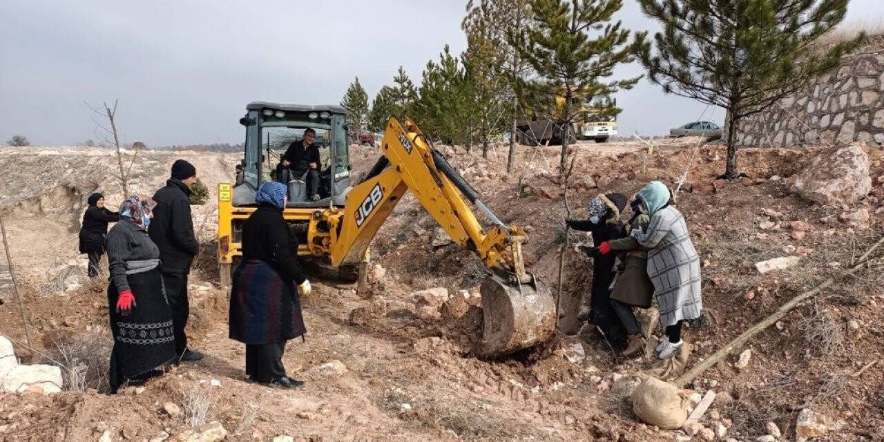 Emet’te ağaçlandırma çalışmaları