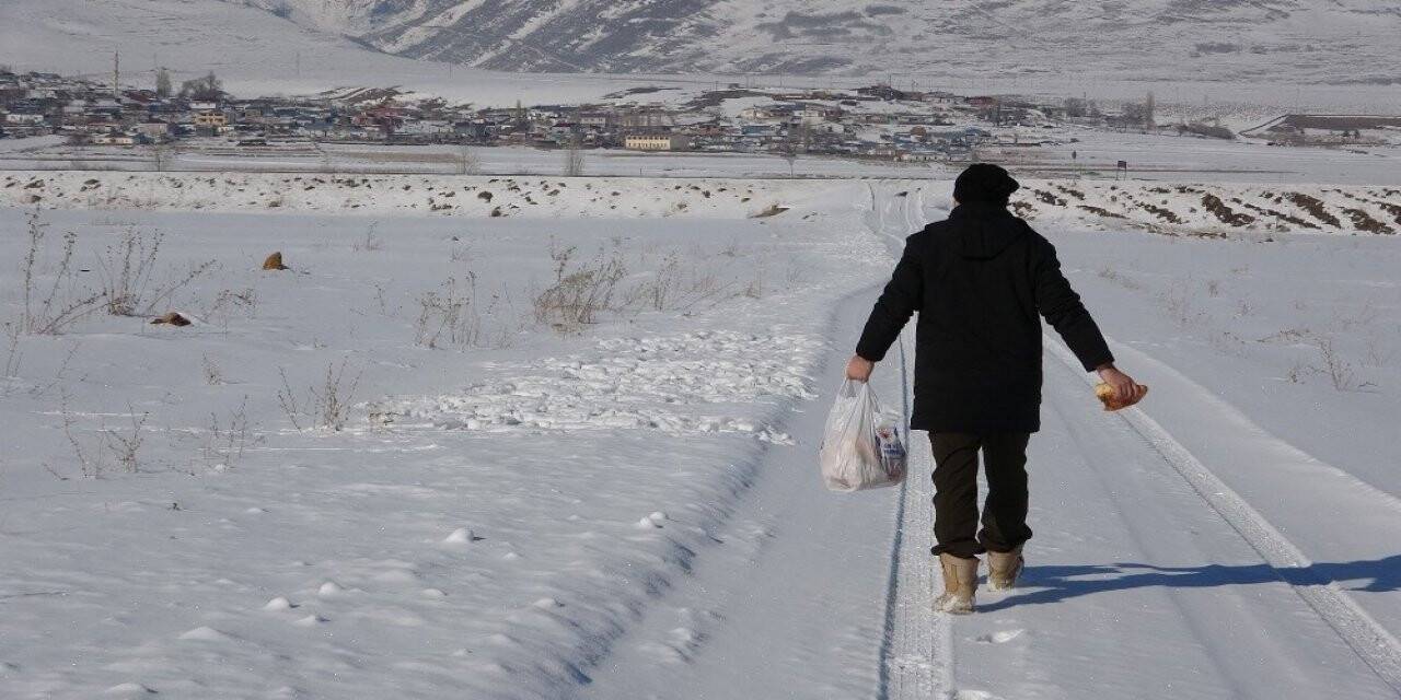 Doktora öğrencisi yabani hayvanlar için doğaya yem bırakıyor