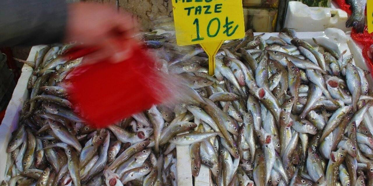 Mezgit 10 TL’lik fiyatıyla tezgahların fenomeni