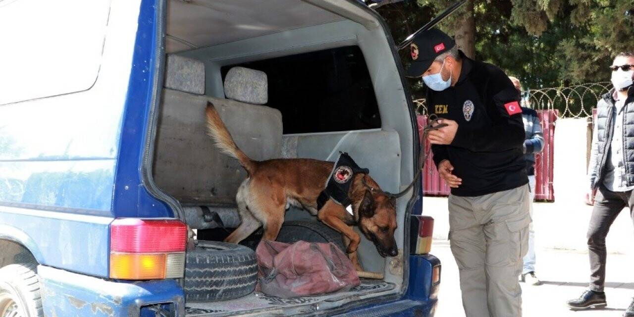 Okul önlerinde özel harekat destekli narkotik köpekli uygulama