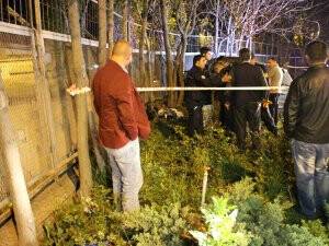 Başkentte trafik kazası: 1 ölü, 2 yaralı