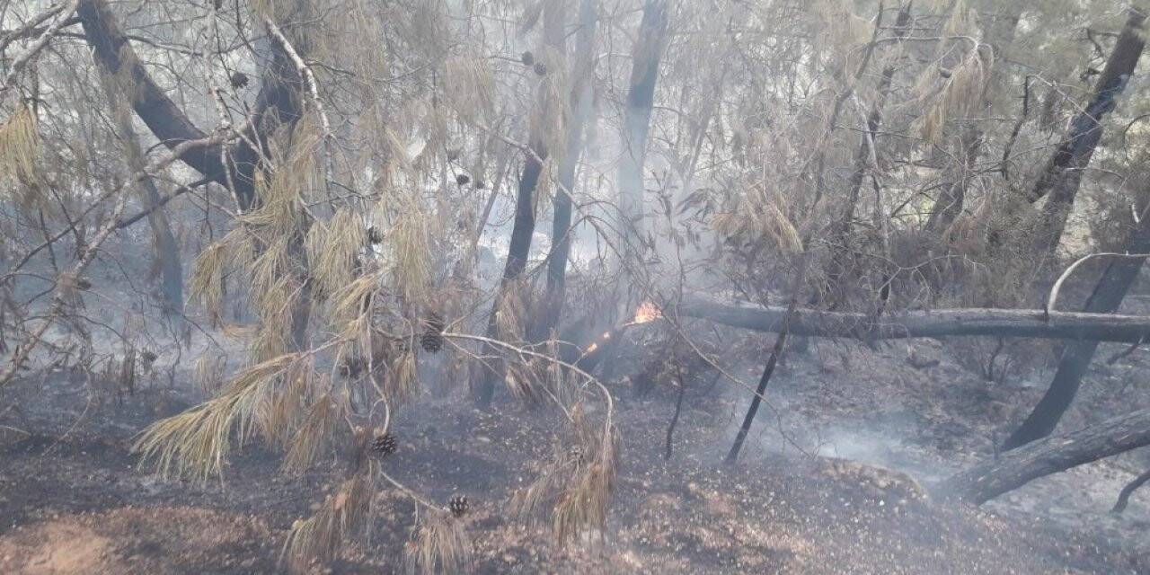 Fethiye’de orman yangını