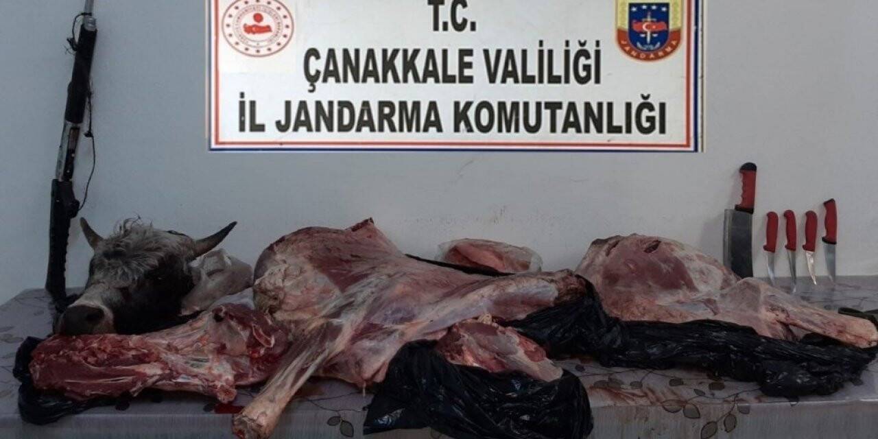 Çanakkale’de tüfekle vurdukları hayvanı çalan şahıslara suçüstü
