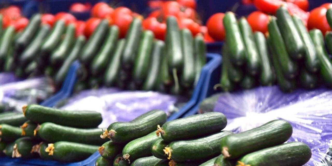 Şubat ayında en çok salatalık fiyatı arttı