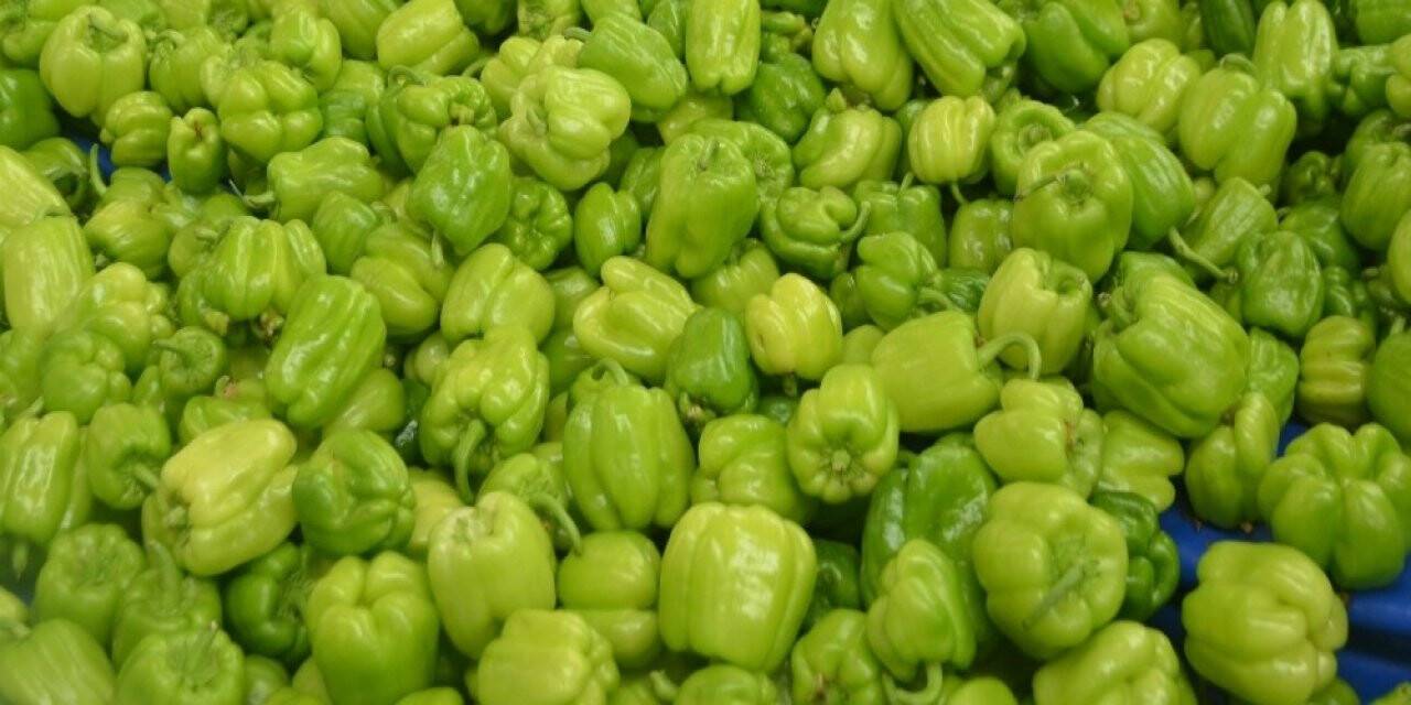 Şubat ayında en çok dolmalık biber fiyatı arttı