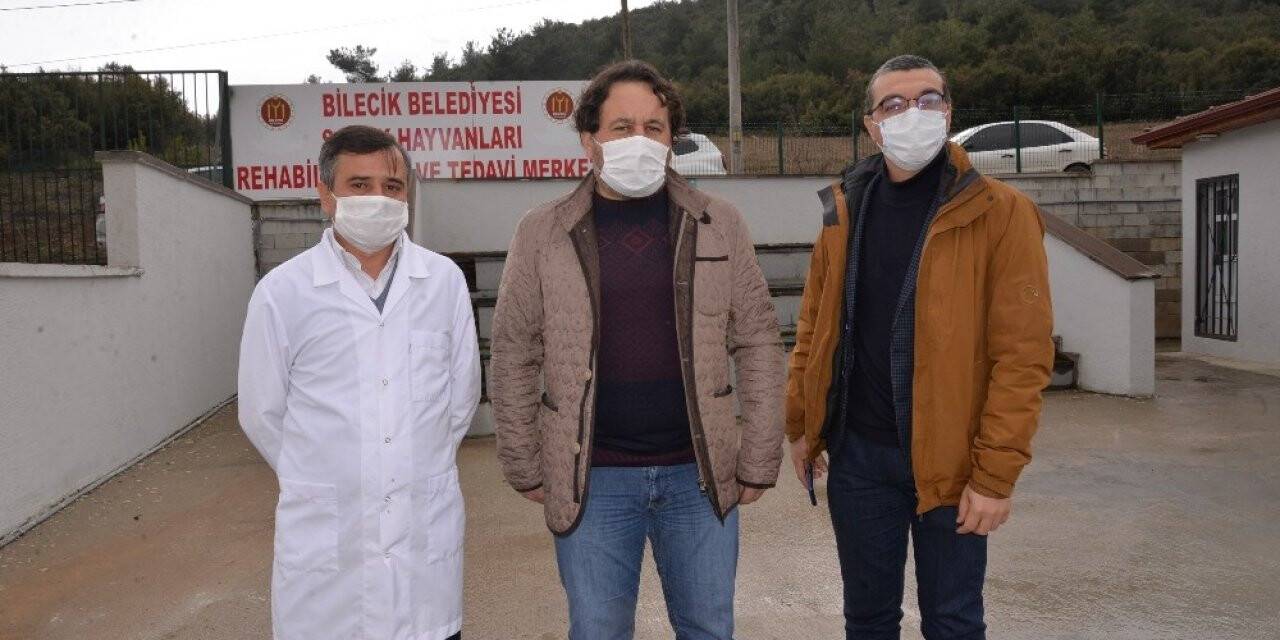 Bilecik Belediyesi Sokak Hayvanları Tedavi ve Rehabilitasyon Merkezine övgü dolu sözler