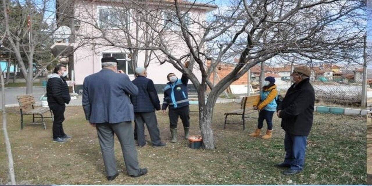Yetiştiricilere budamada bilgilendirme ve eğitim desteği