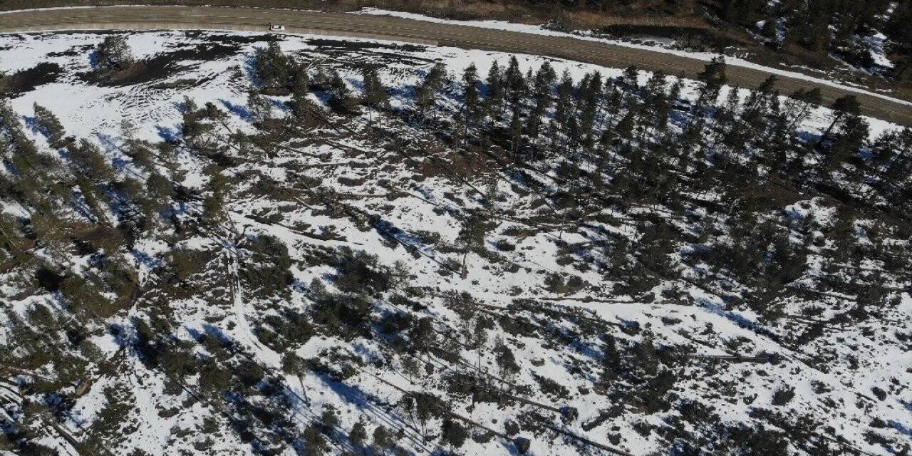 Bolu’da karların erimesi ve fırtına onlarca ağacı devirdi