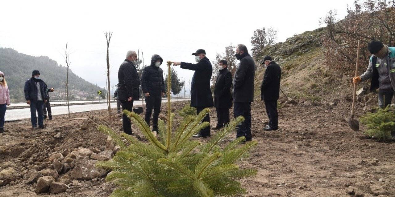 Dursunbey’de 8 Bin 500 Fidan Toprakla Buluştu