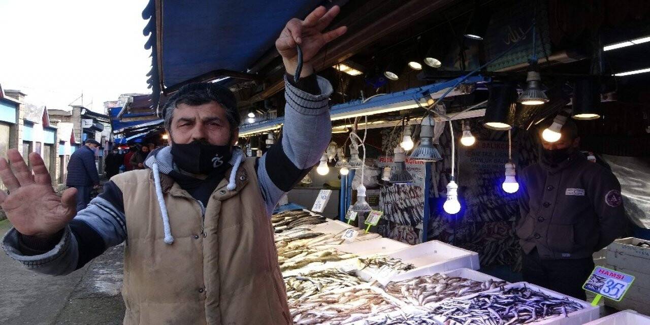 Yerli hamsi bu yıl ilk kez tezgâhlarda yerini aldı ama fiyatı cep yakıyor