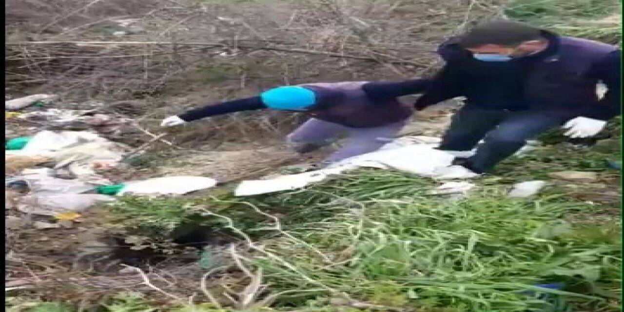 Ayaklarından bağlayıp çuvala koydukları köpeği ölüme terk ettiler