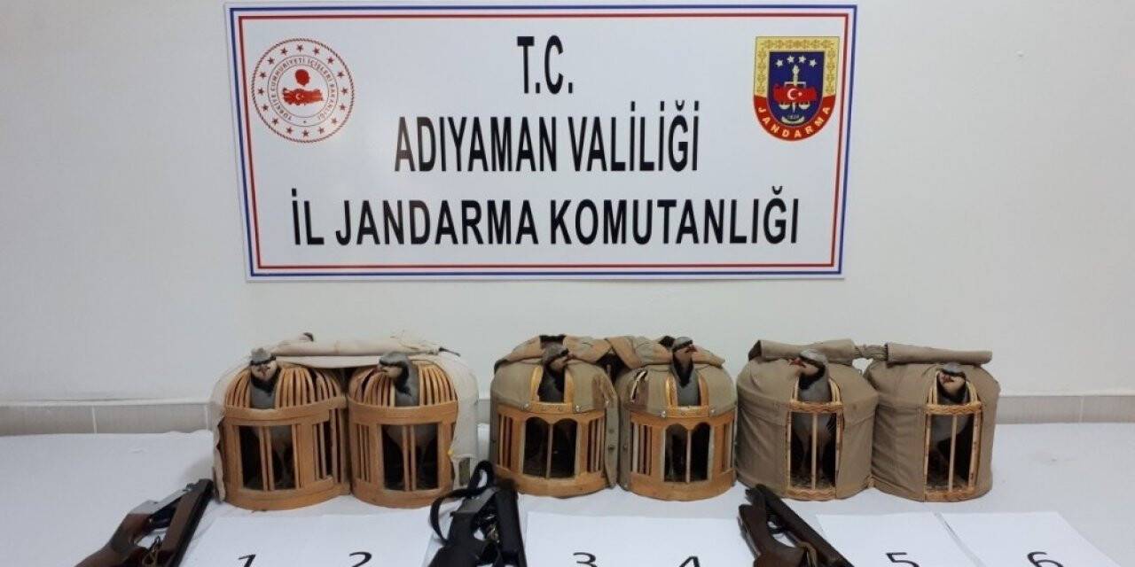 Durdurulan araçta 7 keklik ele geçirildi