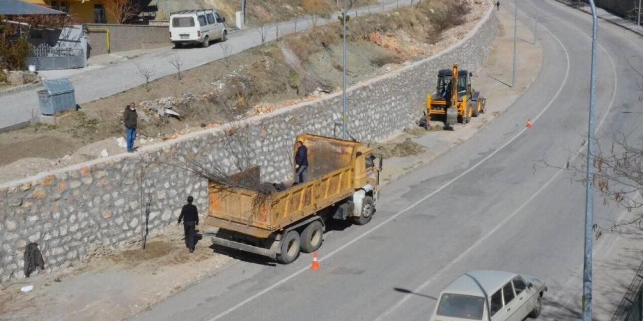 Emet’te yol kenarları ağaçlandırılıyor