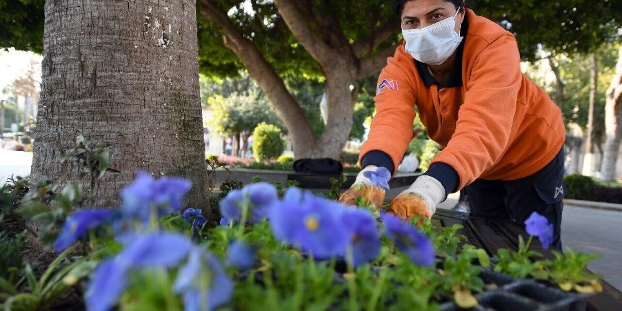 Mersin rengarenk çiçeklerle donatılıyor