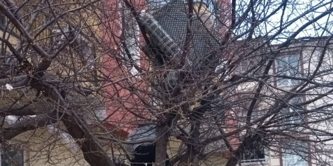 Balkondan aşağı attığı eski koltuk ağaçta takılı kalınca belediye ekiplerinden yardım istedi