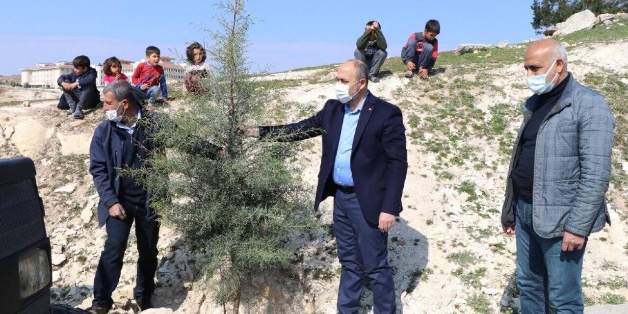 Bozova’da yeşillendirme seferberliği sürüyor