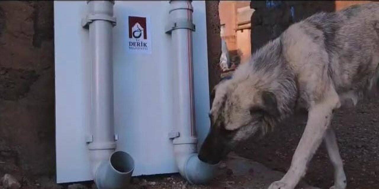 Mardin’de ’Can dostlarımızı yalnız ve aç bırakmıyoruz’ konulu kamu spotu çekildi