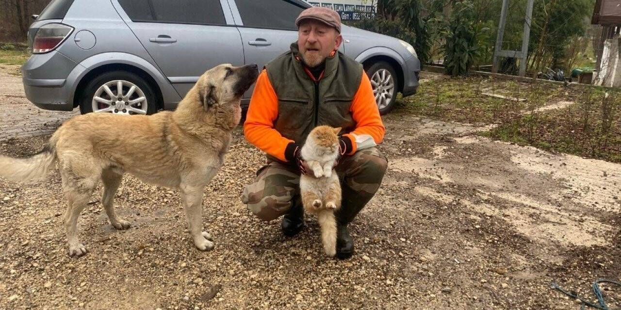 Kedi ile köpeğin şaşırtan dostluğu