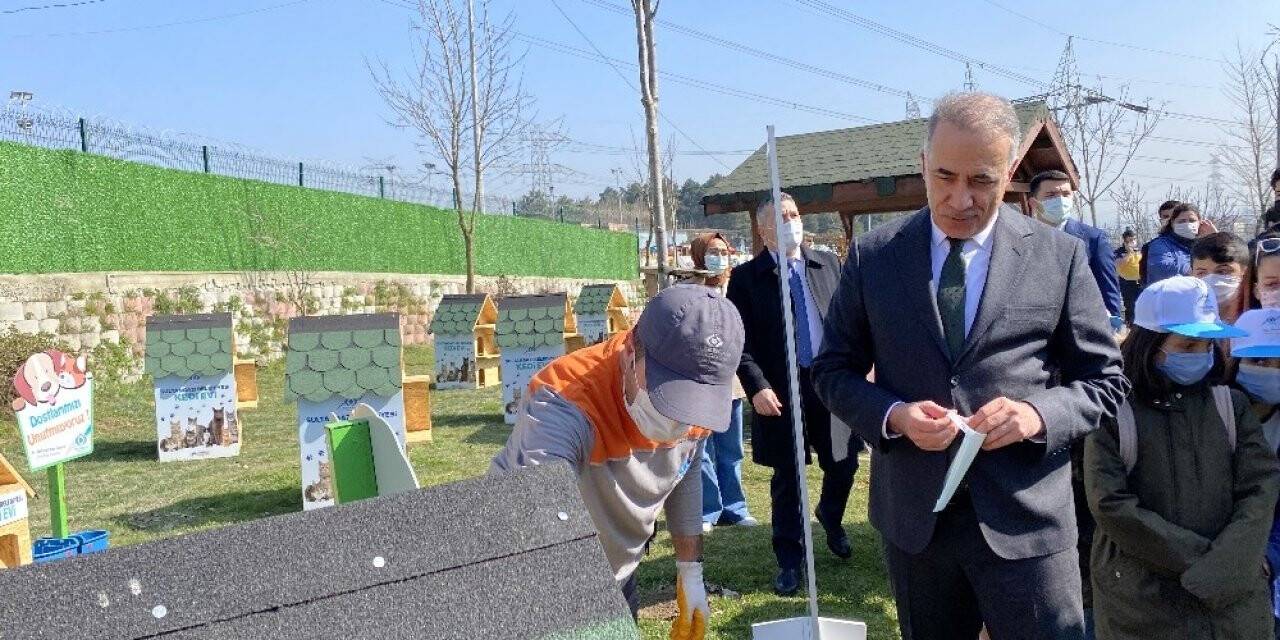 Sultangazi’de “Kedi Köyü” kuruldu