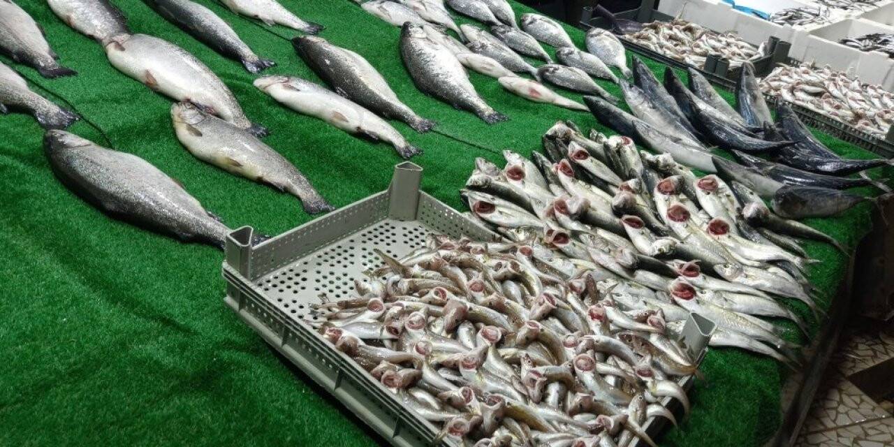 Balıkçıların yüzlerini çinekop ve istavrit güldürdü
