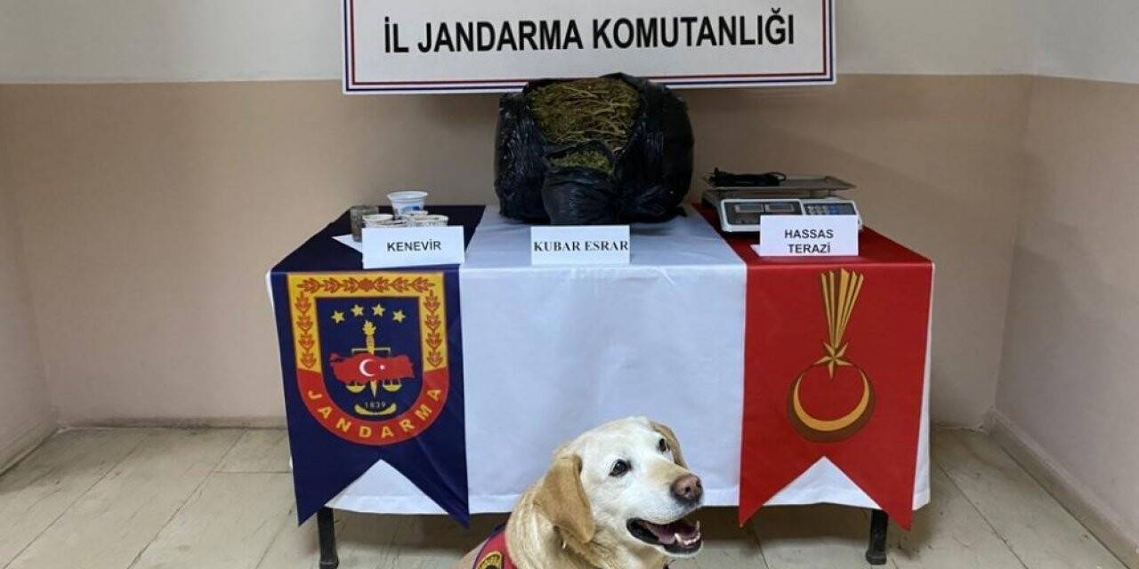 Batman’da 11 kilo 250 gram esrar ele geçirildi