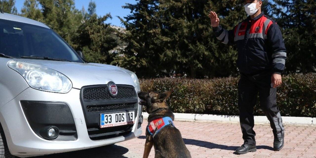 2020 yılında Mersin’de 35 terör örgütü üyesi tutuklandı